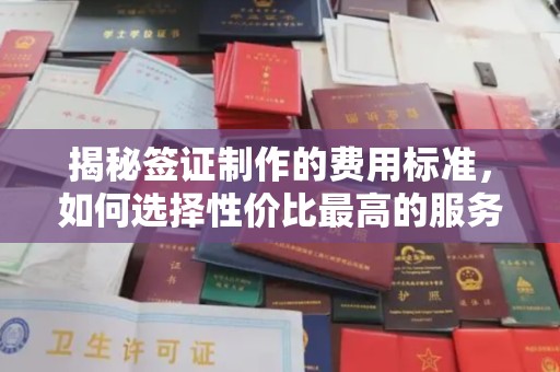 三湾揭秘签证制作的费用标准，如何选择性价比最高的服务？
