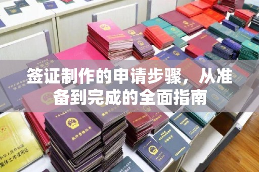 三湾签证制作的申请步骤，从准备到完成的全面指南