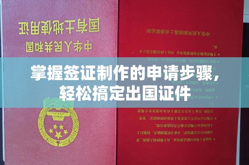 三湾掌握签证制作的申请步骤，轻松搞定出国证件